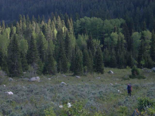 Hiking the last stretch to Phelps