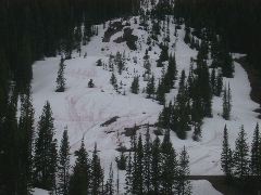 Pink Bacteria? in the snow while hiking up to Marion Lake (22mi round trip!)