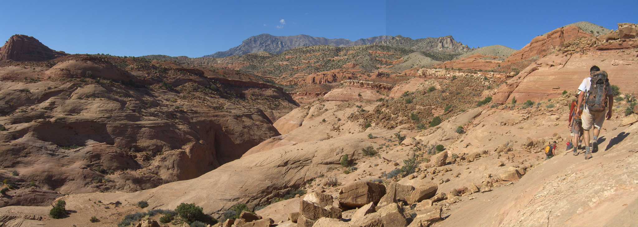 Maidenwater Panorama