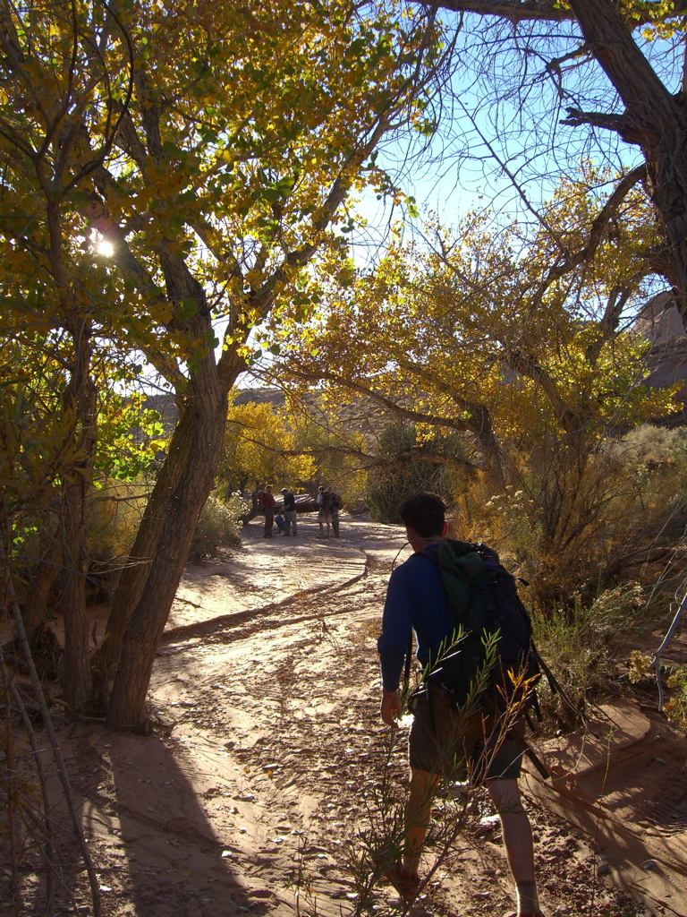 Hiking back