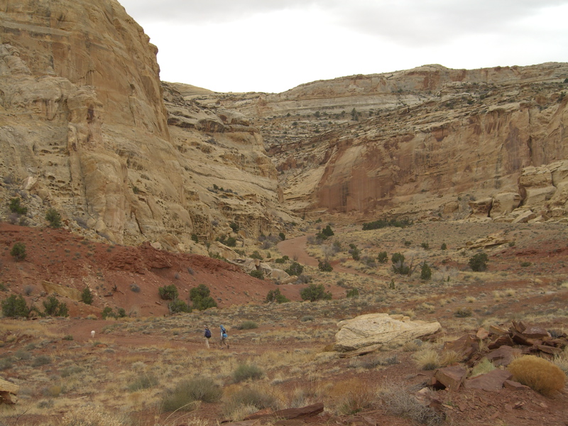 The top of Bell canyon