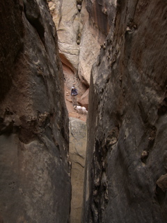 Narrows