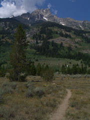 The Trailhead