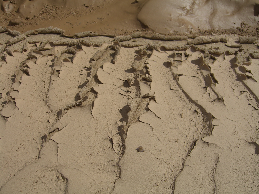 Mud Cracks